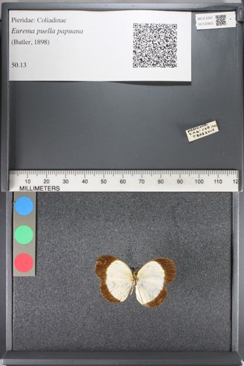 Media type: image;   Entomology 122903